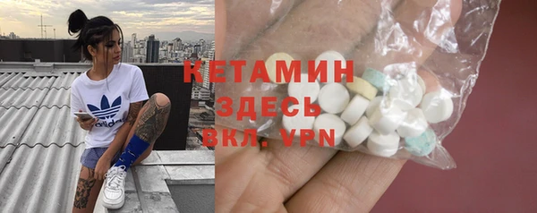индика Дмитриев