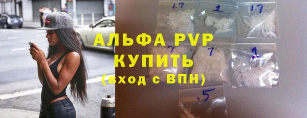 индика Дмитриев