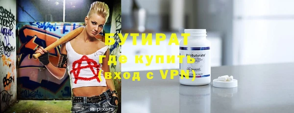 индика Дмитриев
