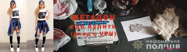 индика Дмитриев