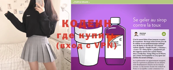индика Дмитриев