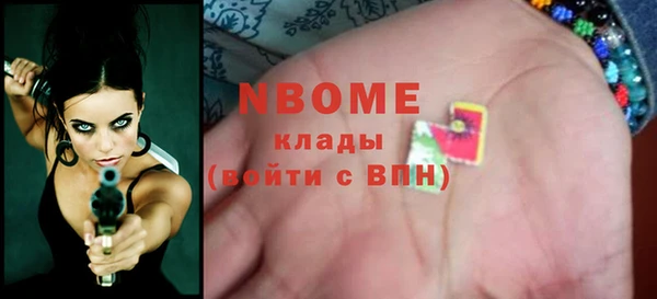 индика Дмитриев