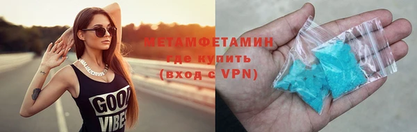 индика Дмитриев