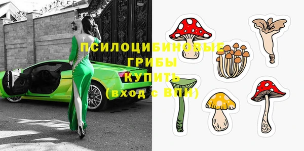 кокс Дмитров