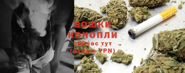 кокс Дмитров