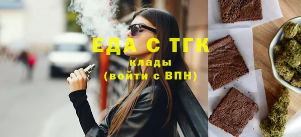 индика Дмитриев