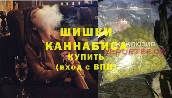 индика Дмитриев