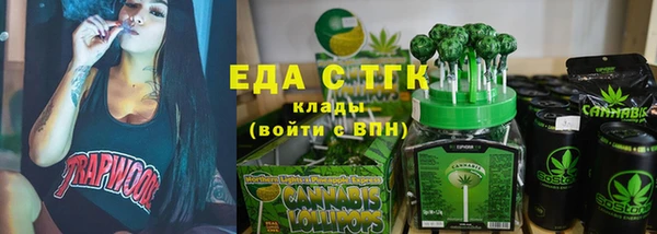индика Дмитриев