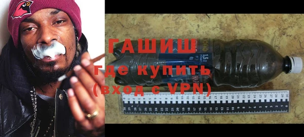 индика Дмитриев