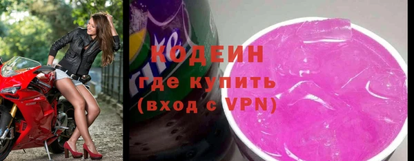 индика Дмитриев