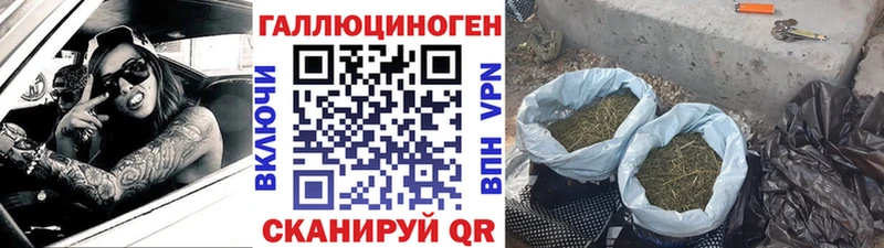 Галлюциногенные грибы Psilocybe  купить   Калач 